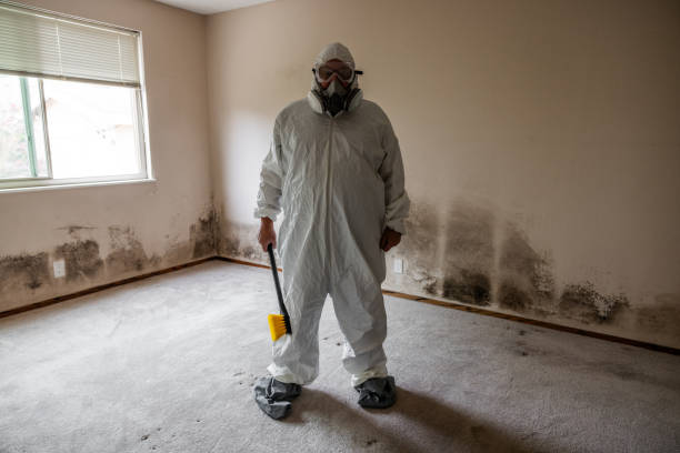 Mold Odor Removal Services in Kibler, AR